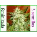 Grow Shop Advanced Seeds - Kaya 47 (...