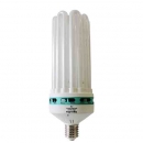 Agrolite 105W - Floracion