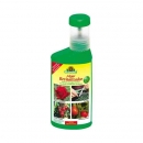 Grow Shop Algan Revitalizador 250ml