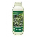 Grow Shop Allium 50 cc