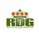 Grow Shop Caja Metalica Royal Dutch