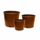 Grow Shop Contenedor alto C40 altura...