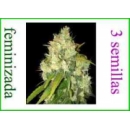 Delicious - Black Russian (3f)