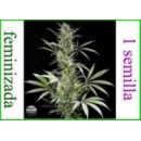 Grow Shop Dinafem - Blue Fruit (1f)