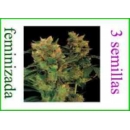 Dinafem - Blue Hash (3f)