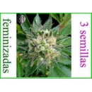 Dinafem - Diesel (3f)