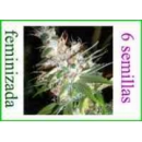 Grow Shop Dna Genetics - La Woman (6...