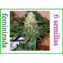 Grow Shop Dna Genetics - Rocklock (6...
