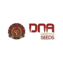 Grow Shop Dna Genetics - The #18   (...