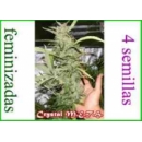 Grow Shop Dr Underground - Crystal M...