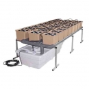 Grow Shop Dutch Pot Aero 2m2 Agua Bl...
