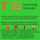 Fast STS Light A+B 100ml/u