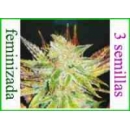 Grow Shop Medical Seeds - Prozac (3f...