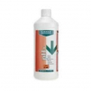 PH Down Bloom 1L (Canna)