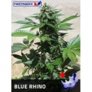Positronics - Blue Rhino (3f)