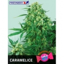 Positronics - Caramelice (5f)