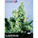 Positronics - Claustrum (3f)