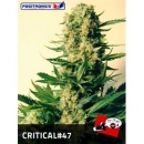 Positronics - Critical 47 (1f)