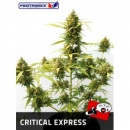 Positronics - Critical Express (...