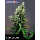 Positronics - Cum Laude (1f)