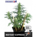 Positronics - Mayday Express (3f...