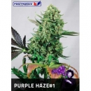 Positronics - Purple Haze #1 (1f...