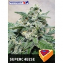 Positronics - Superchesse (5f)