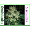 Grow Shop Resin Seeds - Sour P (5f)