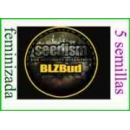 Seedism - BLZ Bud (5f)^