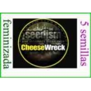 Seedism - Chesse Wreck (5f)^