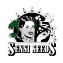 Grow Shop Sensi Seeds - Big Bud (25f...