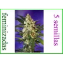 Sweet seeds - Fast Bud Automatic...