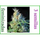 Sweet Seeds - Psicodelicia (3f)
