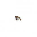 Grow Shop Taco de 5x5x5 cm, con un a...