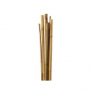 Tutores de Bamb� 105 cm � 8/10 m...