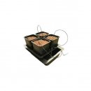 Grow Shop Wilma 4 plantas (deposito ...