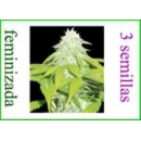 Grow Shop World of Seeds - Skunk 47 ...